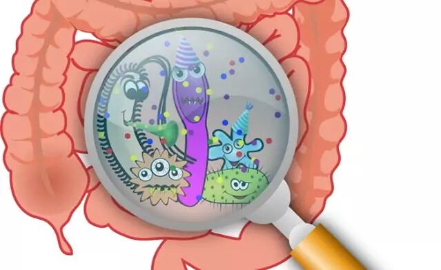 Paraziți în intestine
