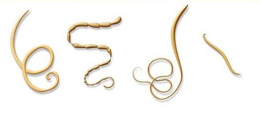 cele mai comune tipuri de paraziți