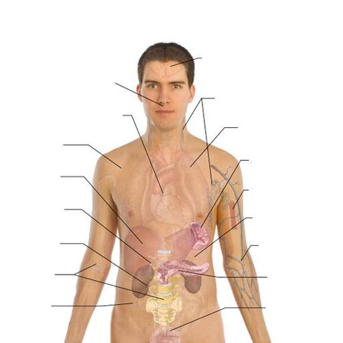 semne ale prezenței paraziților în diferite organe